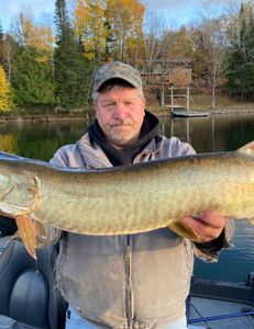 Time for live bait for muskies