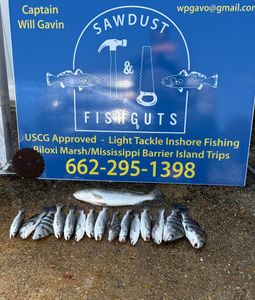 Spring Bite Heating Up in Mississippi and Louisiana Marshes