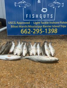 Big trout on slick calm day