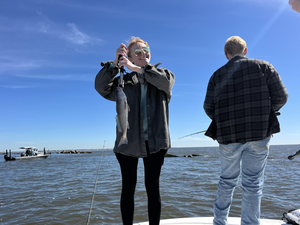 Reeling in Red Drum: Thrilling Inshore Fishing Adventure in Mississippi
