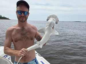 Big Bites in the Backwater: Sharks Are Active and Abundant