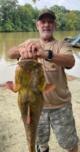 Successful night of bank pole fishing on the Coosa River!