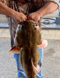 Alabama Catfishing Adventures