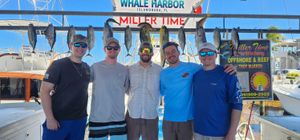 Islamorada Fishing Charters | Professional Florida Keys Fishing