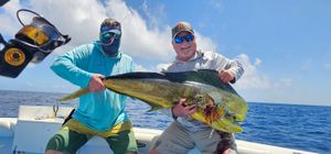 Mahi-Mahi Fishing Charters in Islamorada
