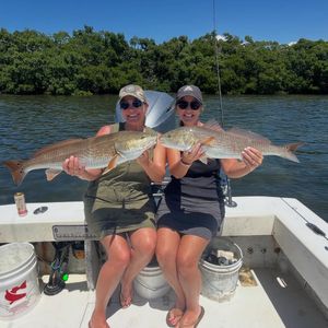 Hot Tarpon Bite Continues