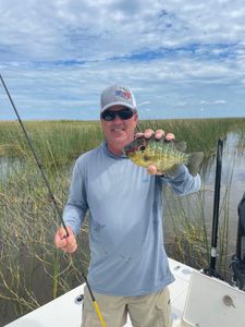 The Bass and Bluegill Bite is on