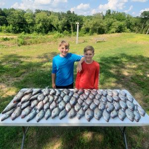 Lake Limestone Crappie and Bass Biting Again