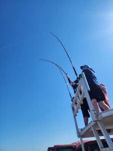Port Aransas Fishing