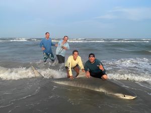 TEXAS FISHING LICENSE