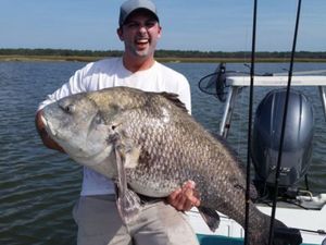 Now This Is A Massive Black Drum in Jacksonville!