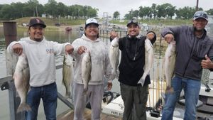 Current Lake Texoma Conditions & Guided Trip Availability