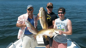 Gulf Shores Fishing Report