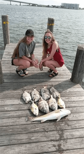 Caught Our Limit! Gulf Shores Fishing 2023