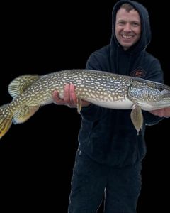 Pike Fishing In North Dakota