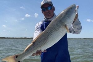Large Redfish From Corpus Christi, TX