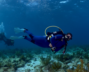Referral Dives