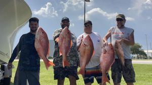 V-Strike Charters Nearshore & Offshore Update