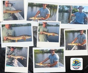 Pike Fishing Scout Trip Success on the Muskegon River!