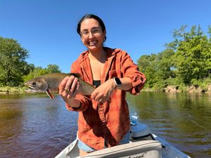 Master Angler Brook Trout on the Muskegon River