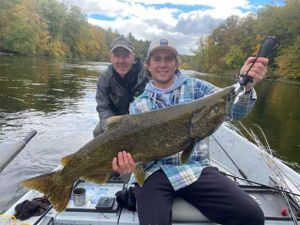 Strong number of King Salmon in Muskegon River