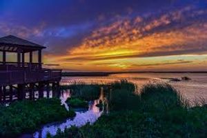 Top Things to Do in Port Aransas
