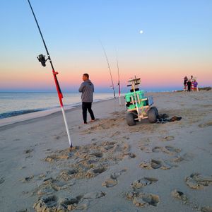 Surf Casting in Cape May, NJ
