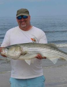 Stripped Bass in Bass in Stone Harbor, NJ