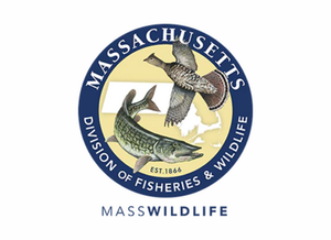 Massachusetts Fishing License