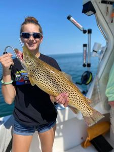 Lake Ontario Brown Trout Fishing