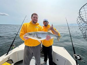 Crew Day Success – Limits Filled on Striped Bass and Mackerel!