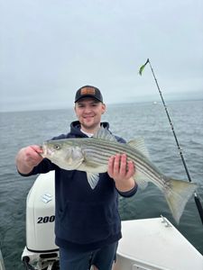 Big Fish, Big Day – Striped Bass Up to 40.25" with Marcus from Wampanoag Shells!