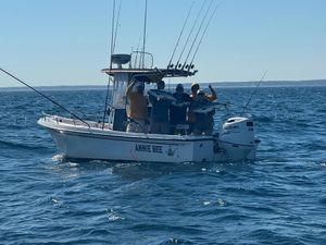 First trip delivered steady action with plenty of fish caught this morning—call (508) 360-5914 to book your next trip.