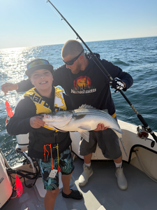 Cape Cod Bass & Bonito Action - 3-Hour Inshore Adventure Trip