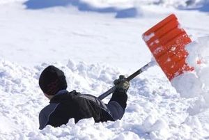 $50 Off Trips + Free T-Shirt | Book Now Through March 5