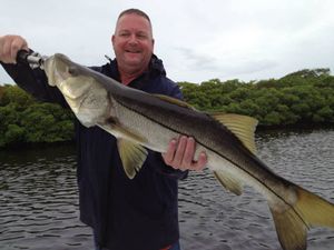 Tampa bay area fishing charters	
