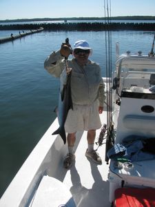 Fishing charter Tampa, FL