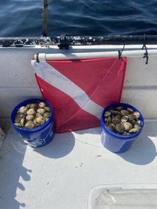 Scallop Season Action with Easy Limits and Family Fun on the Water