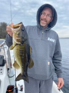Best bass fishing in Florida