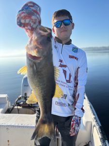 Book Your Rodman Reservoir Bass Fishing Trips – January Through Easter