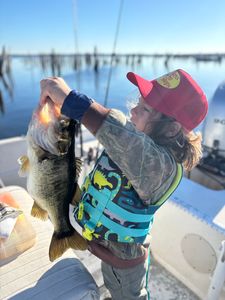 Drawdown fishing Rodman