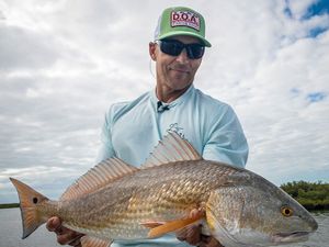 Giant Redfish in Florida