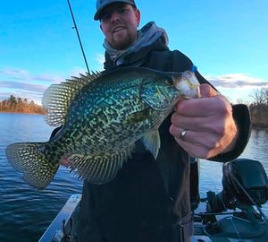 Hot Crappie Bite This Friday
