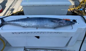 Winter Wahoo Fishing Heating Up off Wrightsville Beach