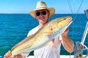 Ocean Stinger Charters Summer Promo: Discounted Half-Day Inshore 