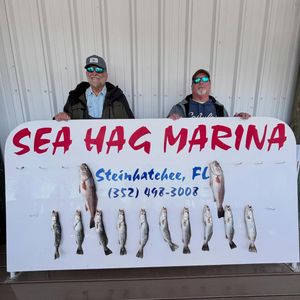 Windy Winter Trout Limit