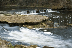 Things To Do In Steinhatchee