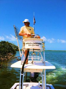 Things To Do in Florida