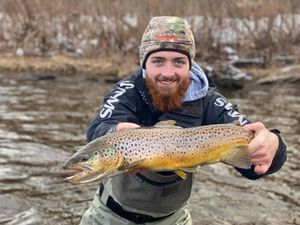 Brown Trout Fishing Guide in Salmon River