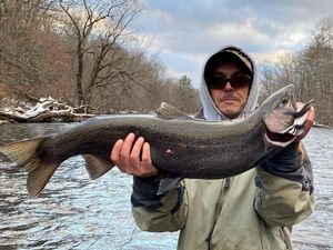 Salmon river NY fishing